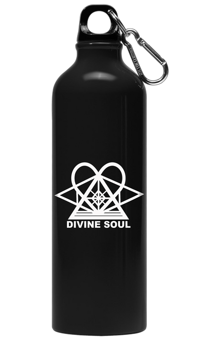 Divine Soul Lifestyle Academy Welcome Package!