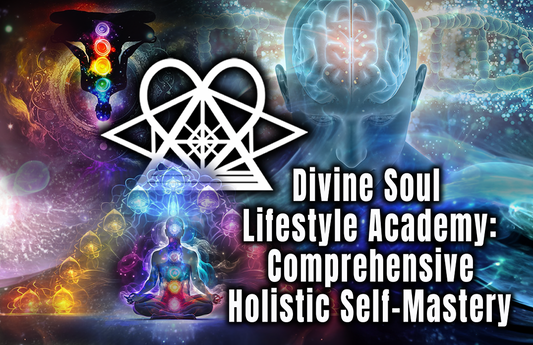 Divine Soul Lifestyle Academy! Copy Link to Purchase!